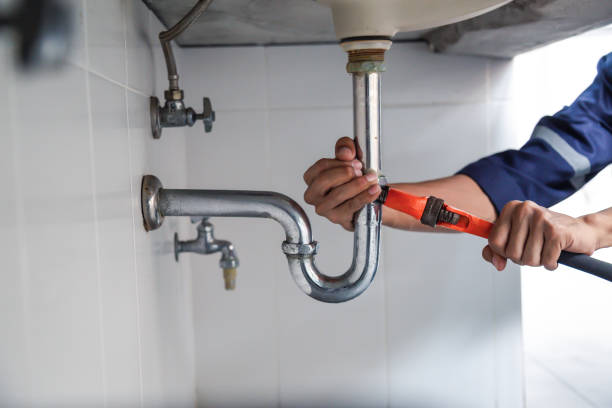 Best Clogged Drain Plumber  in Bellevue, MI